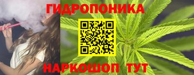 jwh Аргун