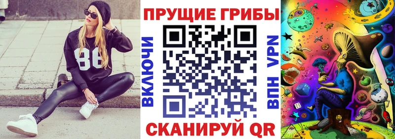 blacksprut зеркало  продажа наркотиков  Баксан  Псилоцибиновые грибы ЛСД 
