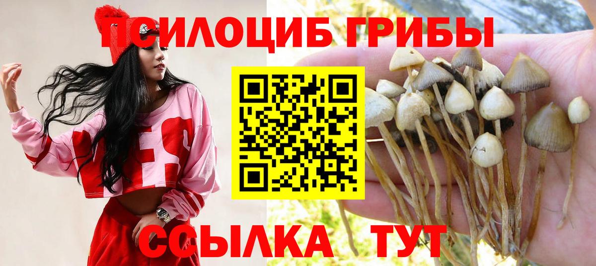 Баксан  Галлюциногенные грибы Psilocybine cubensis  Вход с VPN  Псилоцибиновые грибы Psilocybine cubensis 
